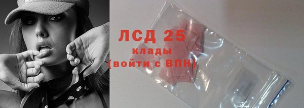 стаф Арсеньев