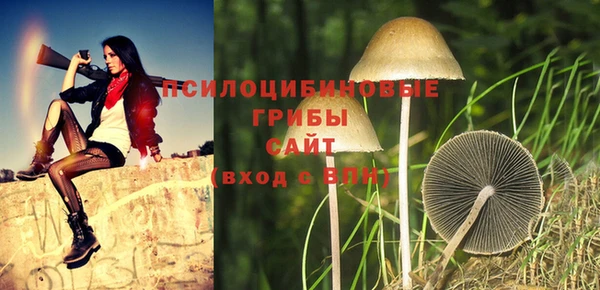 соль курить ск Армянск
