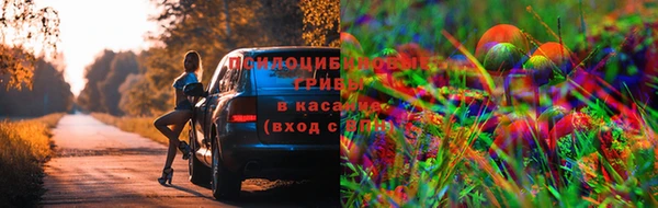 твердый Балабаново